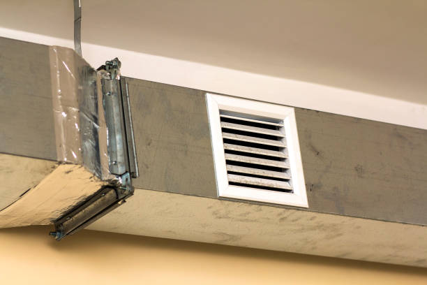 Air Duct Mold Removal in Pine Ridge, PA